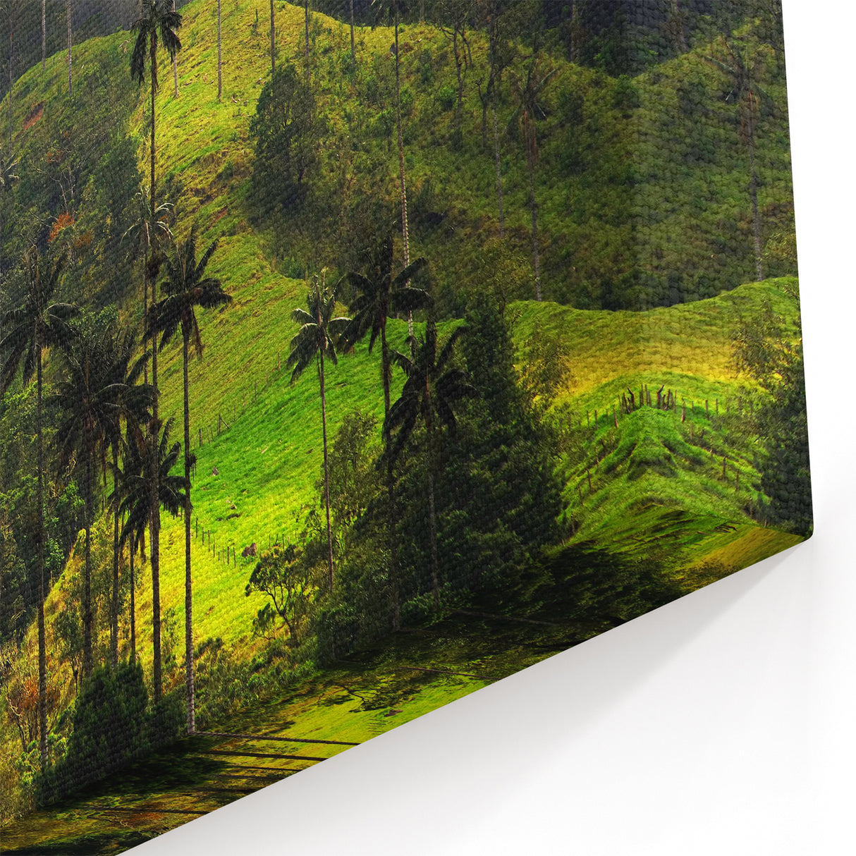 Colombian Scenery Canvas - Misty Cocora Valley Wax Palms South America Decor