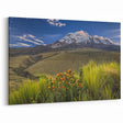 Framed Ecuadorian Scenery Art - Chimborazo Mountain Landscape Print