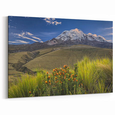Framed Ecuadorian Scenery Art - Chimborazo Mountain Landscape Print
