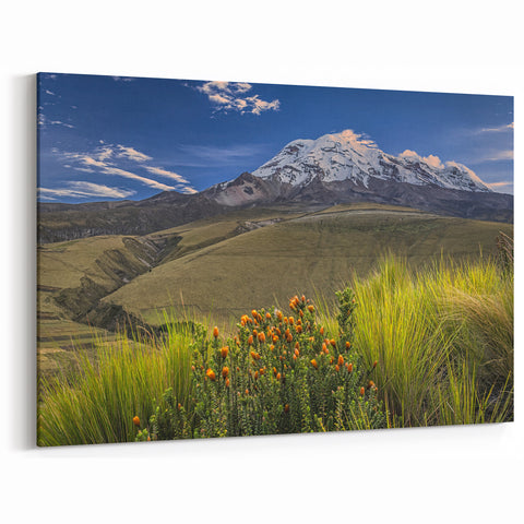 Framed Ecuadorian Scenery Art - Chimborazo Mountain Landscape Print