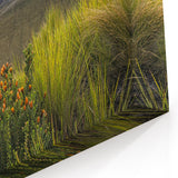 Framed Ecuadorian Scenery Art - Chimborazo Mountain Landscape Print