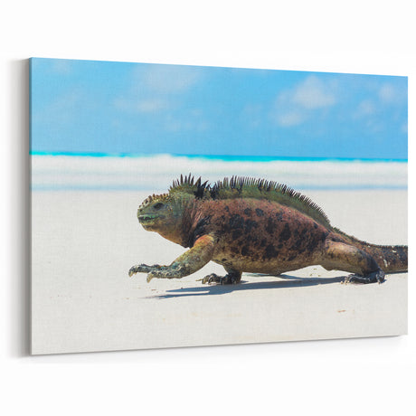 Galapagos Marine Iguana Beach - Framed Wildlife Photography Art & Canvas Print