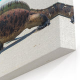 Galapagos Marine Iguana Beach - Framed Wildlife Photography Art & Canvas Print