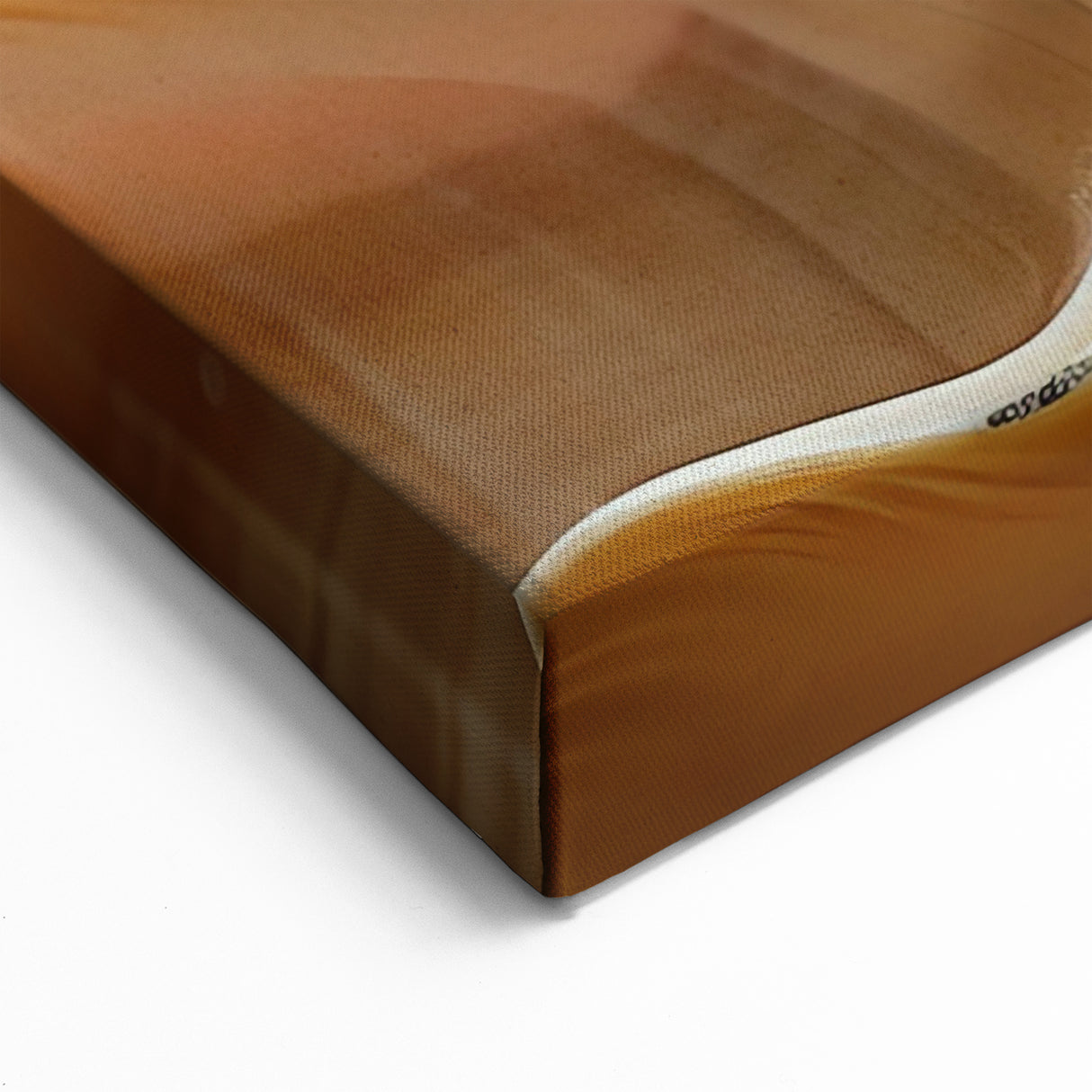 Natural Elements Wall Art | Spiraled Shell Closeup Canvas Print in Warm Tones