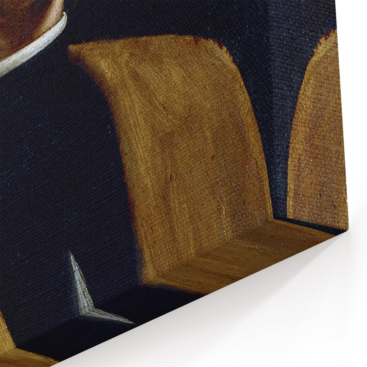 Da Vinci's Portrait of a Musician - Classic Art Canvas Prints