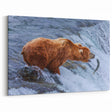 Alaskan Nature Photography - Brown Bear Fishing in Wilderness Wall Art