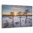 Estonian Landscape Art – Winter Sunset Over Snowy Marshlands