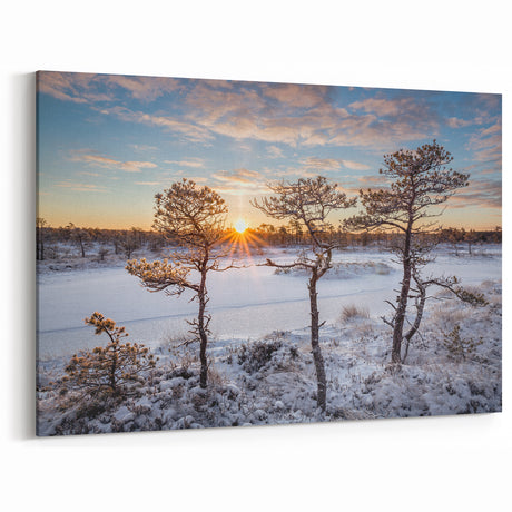 Estonian Landscape Art – Winter Sunset Over Snowy Marshlands