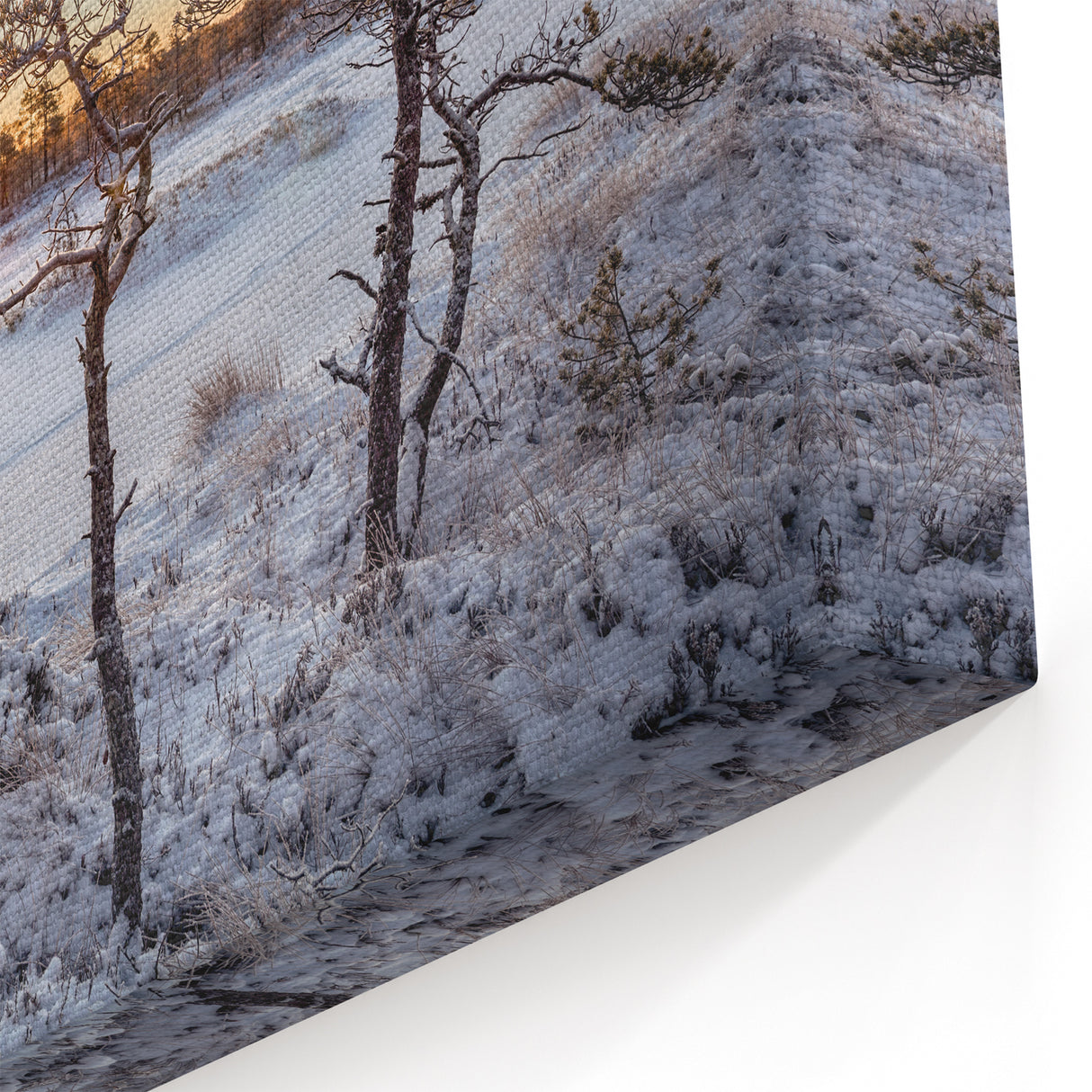 Estonian Landscape Art – Winter Sunset Over Snowy Marshlands