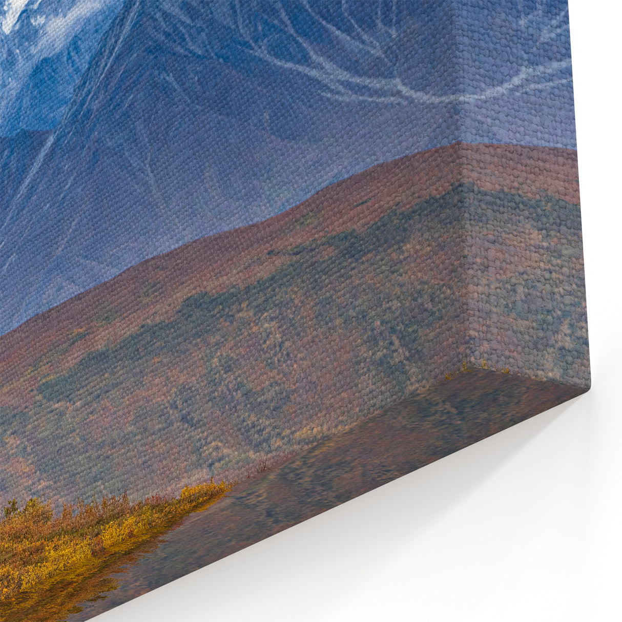 Alaska Wilderness Prints - Caribou in Denali National Park, Alaska
