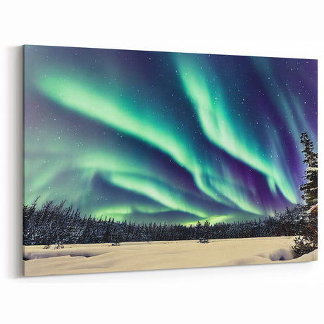 Alaska Canvas Art - Northern Lights Illuminating the Arctic Sky
