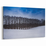 Estonian Landscape Art - Snow-Covered Winter Scene with Bare Trees