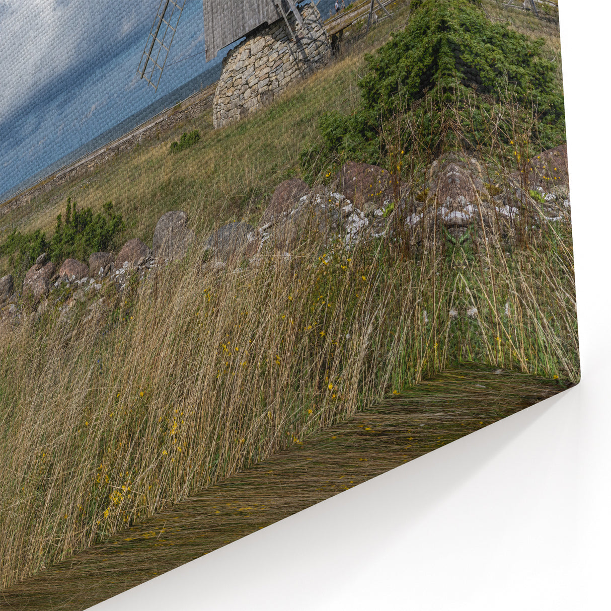 Estonian Landscape Art - Historic Windmill by the Baltic Sea