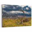 Denali Wilderness Art - Majestic Antlers and Mountains Scenic Wall Art