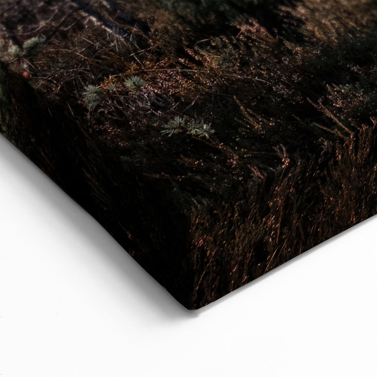 Estonia Wall Art – Scenic Boardwalk through Estonian Nature Landscape