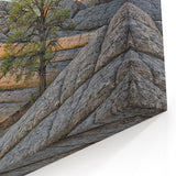 Serene Arizona Desert Landscape with Lone Tree - Coyote Buttes Wall Art