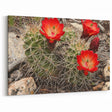 Southwest Wall Decor – Arizona Cactus Art for Grand Canyon Lovers