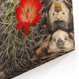 Southwest Wall Decor – Arizona Cactus Art for Grand Canyon Lovers