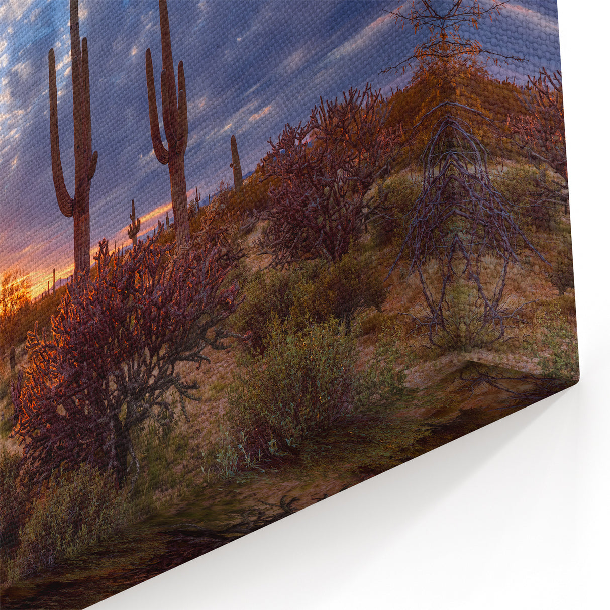 Arizona Desert Sunrise Wall Art - Majestic Saguaro Cactus Landscape Print