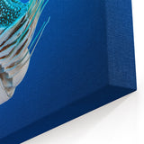 Nautilus Shell Print – Tropical Island Ocean Art