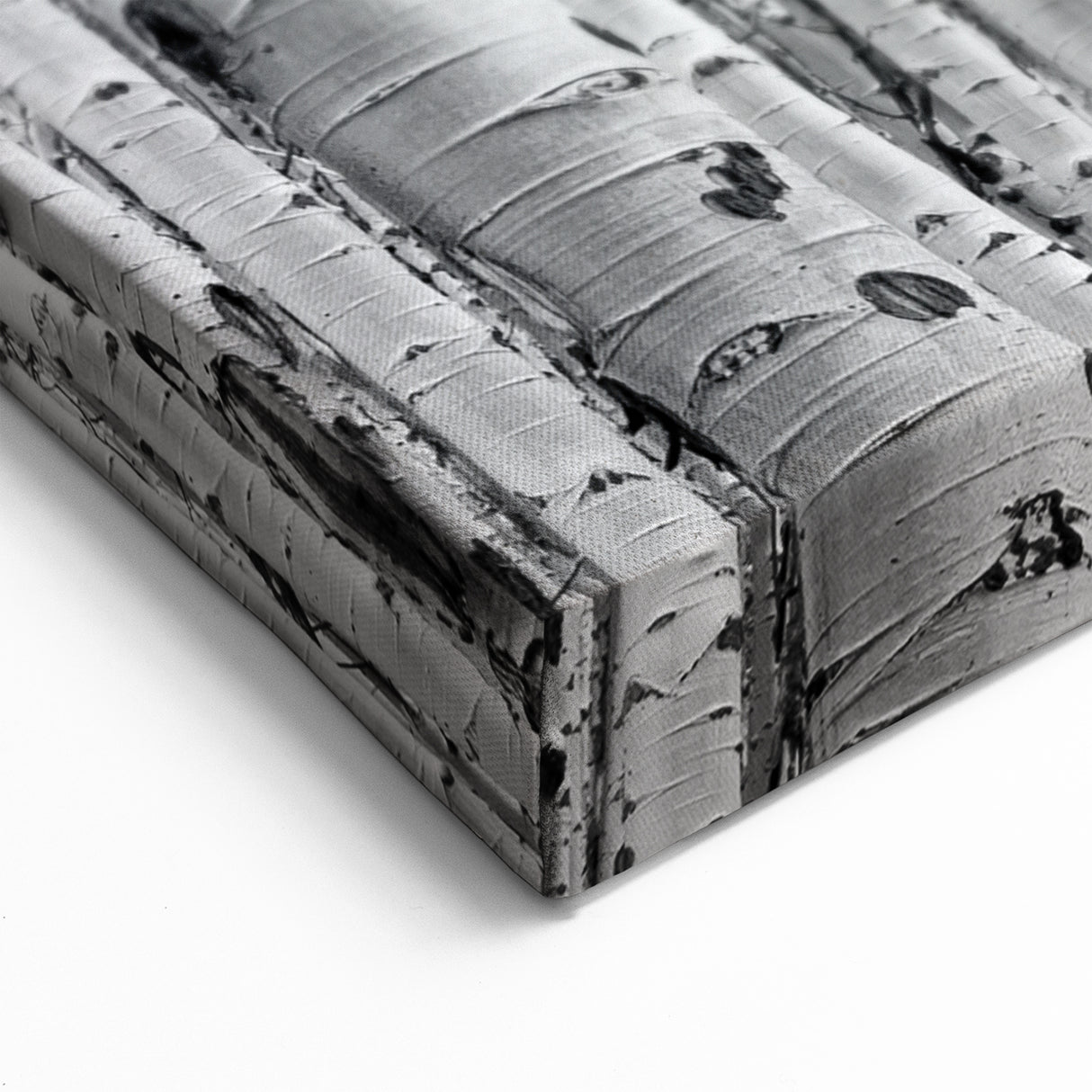 Aspen Scenic Prints - Black and White Aspen Tree Forest Photography
