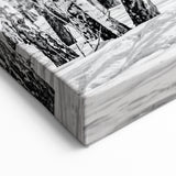 Aspen Nature Photography - Snowy Aspen Forest in Black and White