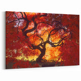 Connecticut Wall Art - Fiery Red and Orange Tree Autumn Leaves Connecticut Prints