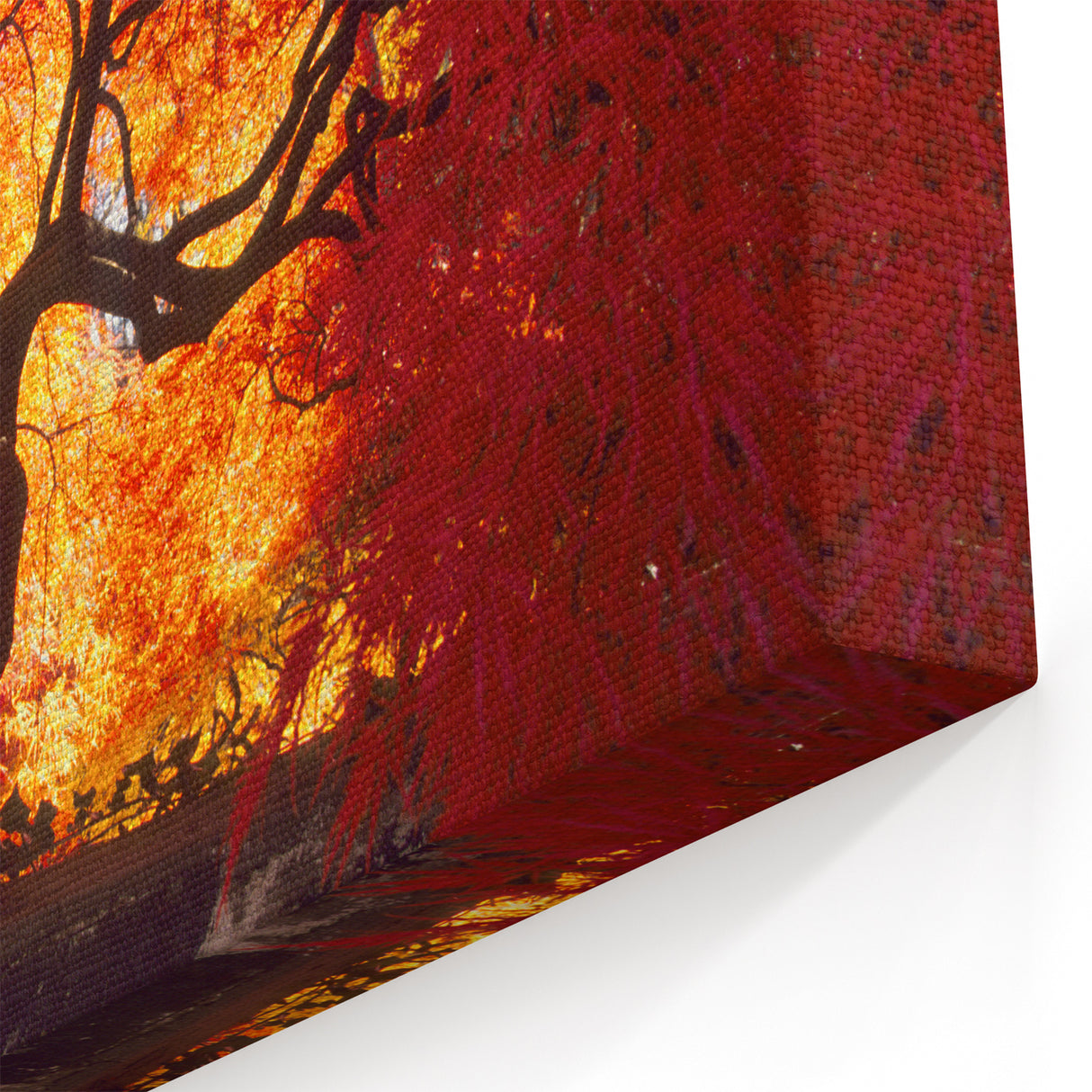 Connecticut Wall Art - Fiery Red and Orange Tree Autumn Leaves Connecticut Prints