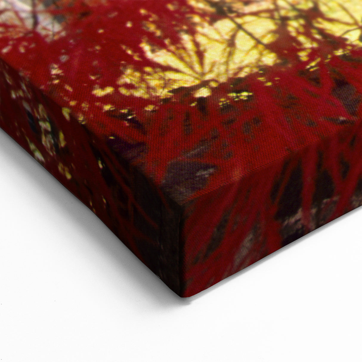 Connecticut Wall Art - Fiery Red and Orange Tree Autumn Leaves Connecticut Prints