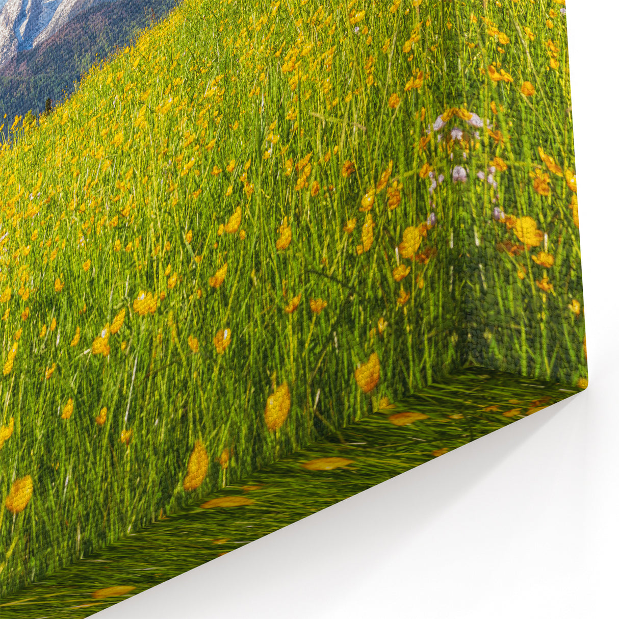 Bavaria Canvas Prints – Bavarian Alps and Meadow Landscape