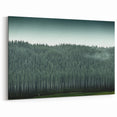 Auckland Forest Canvas - Serene Green Landscape Art