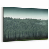 Auckland Forest Canvas - Serene Green Landscape Art