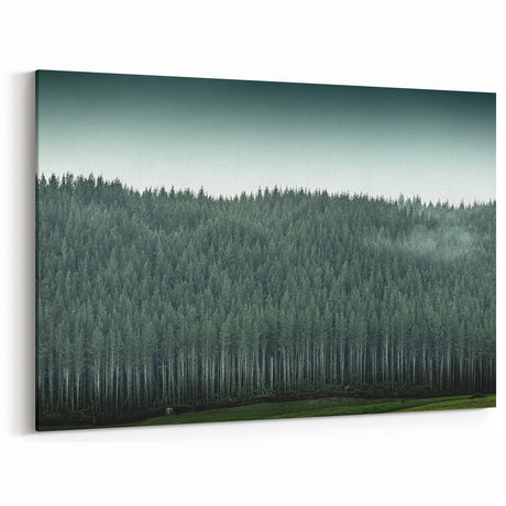 Auckland Forest Canvas - Serene Green Landscape Art