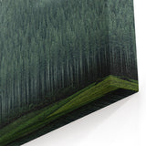Auckland Forest Canvas - Serene Green Landscape Art