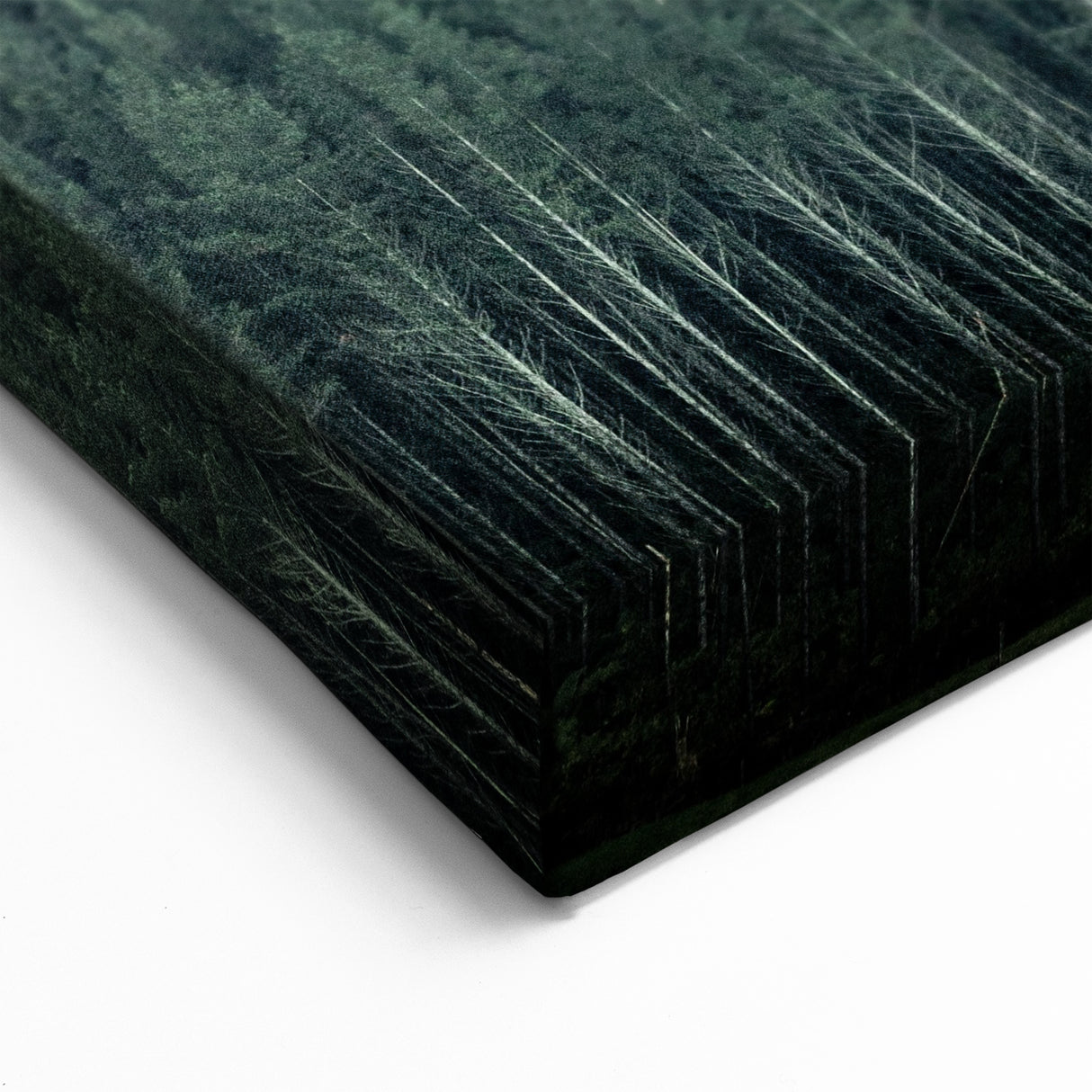 Auckland Forest Canvas - Serene Green Landscape Art
