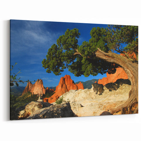Garden of the Gods Artwork - Colorado Springs Landscape Canvas Print