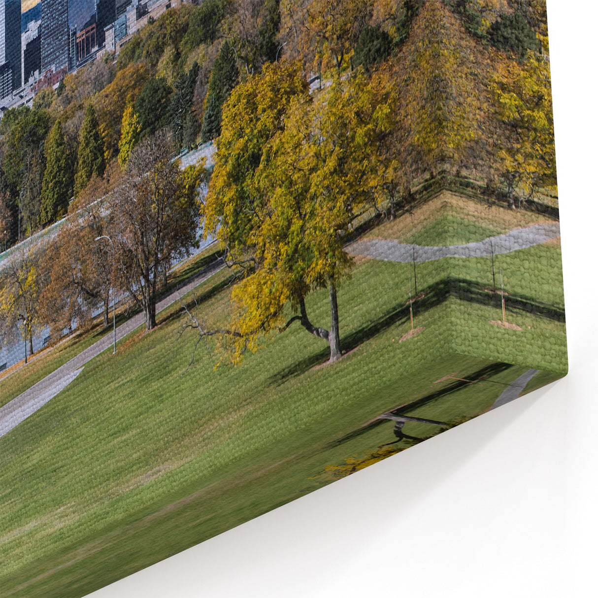 Denver Skyline with Autumn Colors and Sunset - Colorado Wall Art
