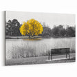 Denver Park Scene with Vibrant Yellow Tree - Black and White Wall Art