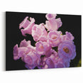 New Zealand Nature Wall Decor - Canterbury Flower Photography Art Print