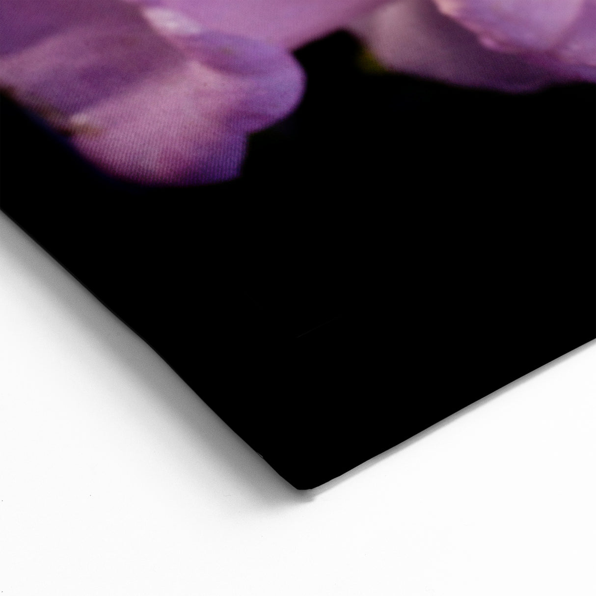 New Zealand Nature Wall Decor - Canterbury Flower Photography Art Print
