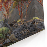 Middle Eastern Art Prints - Socotra's Dragon’s Blood Trees Landscape Art