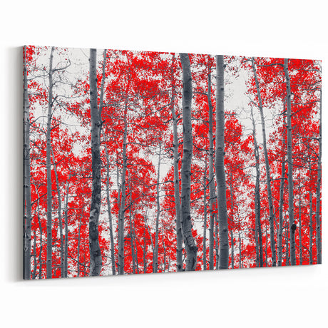 Colorado Aspen Trees Art - Striking Red Autumn Forest Wall Decor Print
