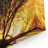 Vail Nature Photography - Silhouette of Trees Against Golden Sunset Sky