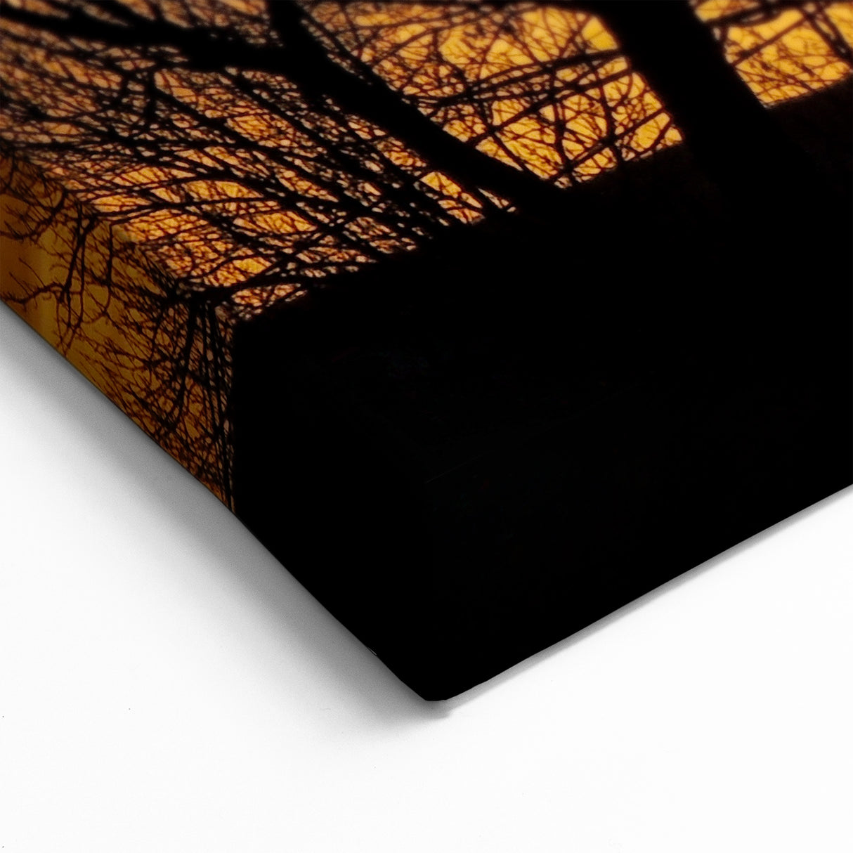 Vail Nature Photography - Silhouette of Trees Against Golden Sunset Sky
