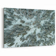 Vail Nature Photography - Aerial View of Snow-Covered Forest Landscape