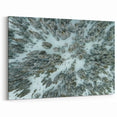 Vail Nature Photography - Aerial View of Snow-Covered Forest Landscape