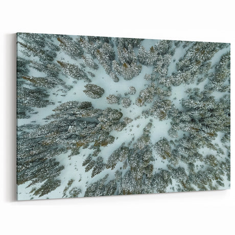 Vail Nature Photography - Aerial View of Snow-Covered Forest Landscape