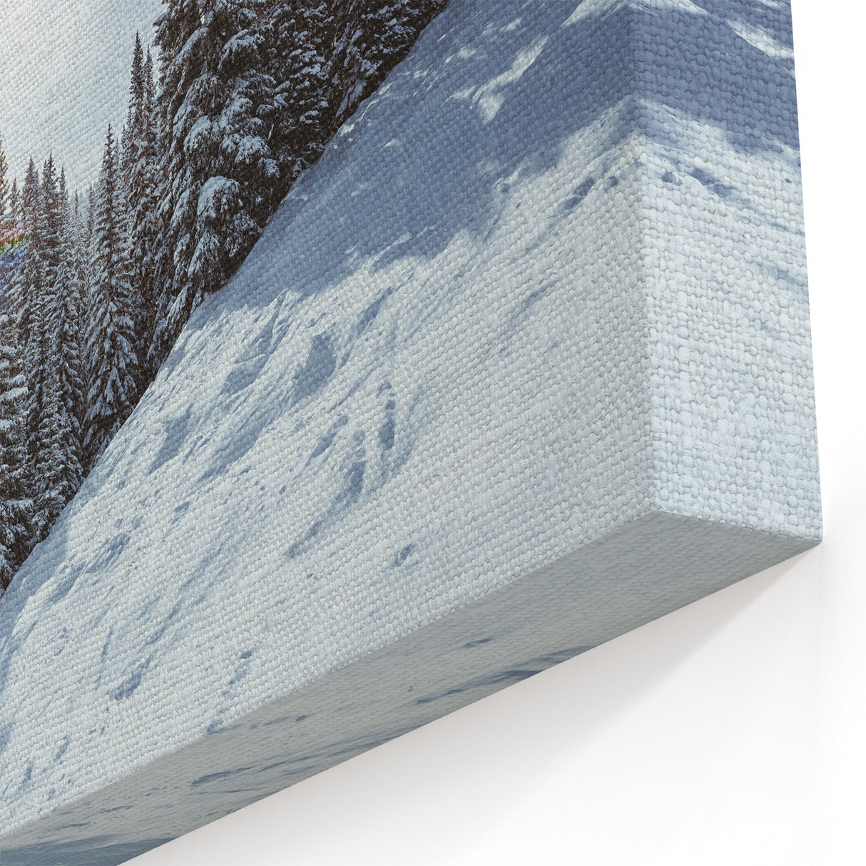 Vail Colorado Wall Art - Snowy Pine Trees on a Winter Morning Landscape