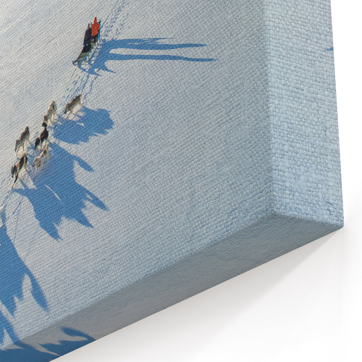 Polar Region Wall Art - Dog Sledding Adventure in Greenland Canvas Decor