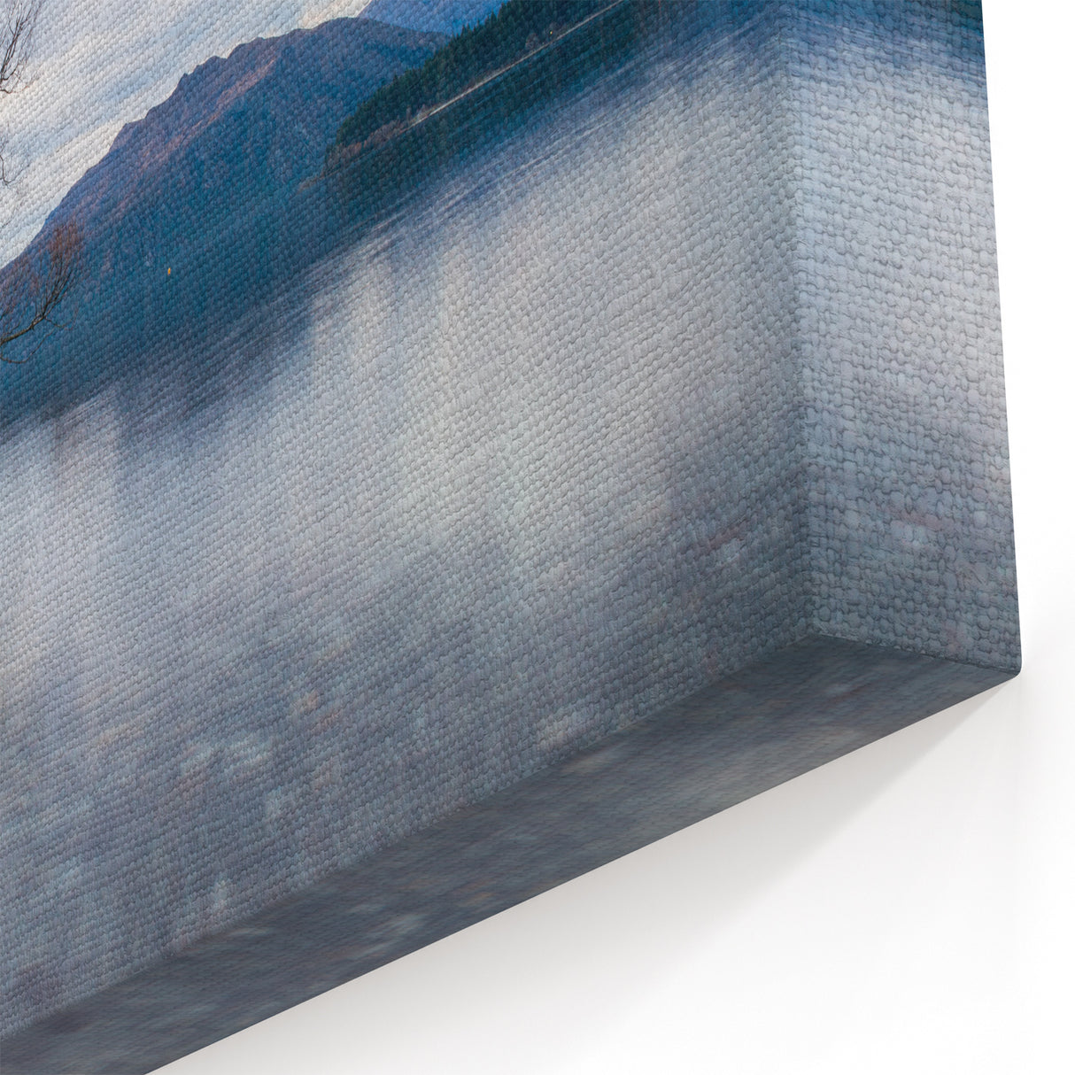 Otago Wall Art - Wanaka Lake Tree Photography Print of New Zealand Scenery